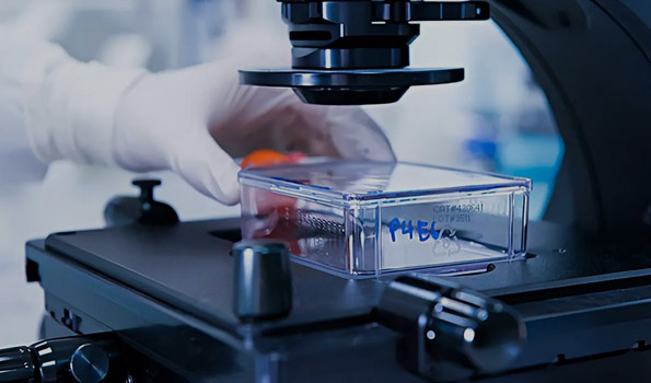 熱烈慶祝我司順利通過(guò)“專精特新”企業(yè)認(rèn)定